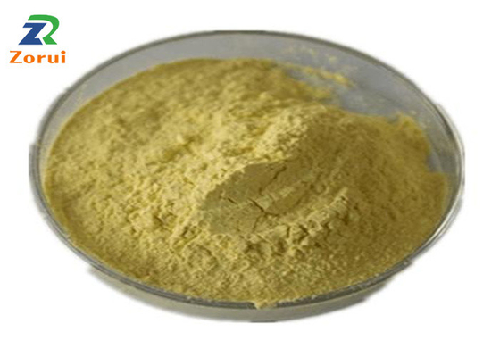 İyi bir fiyat. Öksürük Bastırıcı Balgam söktürücü için Sophora Japonica Özü / Quercetin Toz Dökme CAS 117-39-5 çevrimiçi