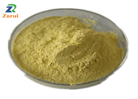 İyi bir fiyat. Sophora Japonica Ekstraksiyonu/ Quercetin Tozu Öksürük Baskıcısı & Expectorant CAS 117-39-5 çevrimiçi