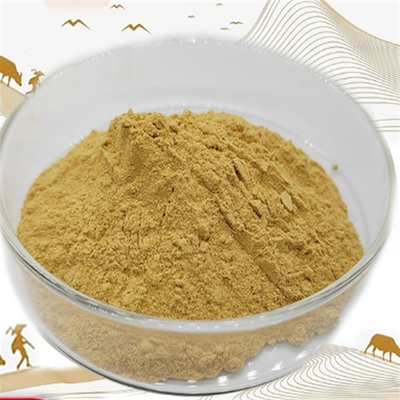 İyi bir fiyat. CAS 90045-38-8 Ginseng Ekstraktı Gıda Takviyesi Panax Ginseng Kök Ekstraktı çevrimiçi