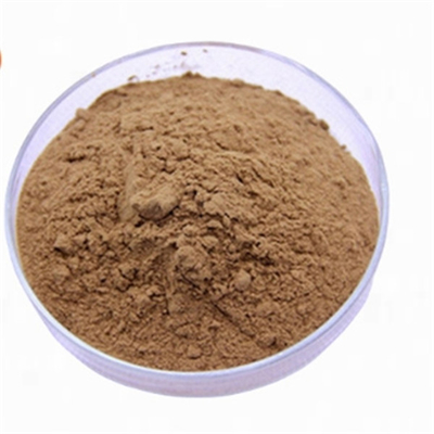 İyi bir fiyat. CAS 90045-36-6 Antioksidanlar Ginkgo Biloba Yaprak Ekstraksiyonu çevrimiçi