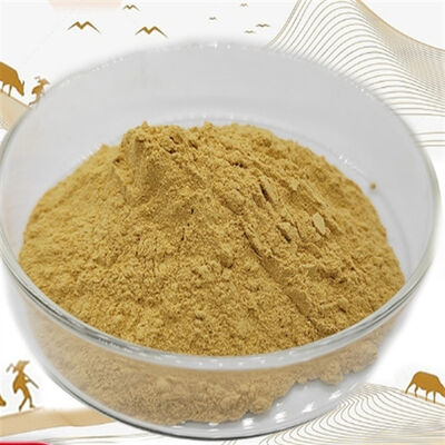 İyi bir fiyat. 90147-43-6 CAS 90147-43-6/ Standartlaştırılmış Toz Besinci Kalite Güvencesi çevrimiçi