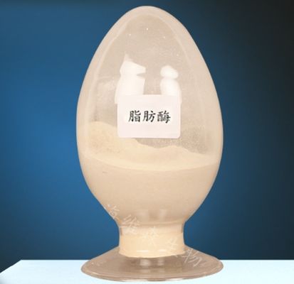 İyi bir fiyat. Lipase Enzimi CAS 9001-62-1 Lipid Metabolizması için % 99 saflık çevrimiçi