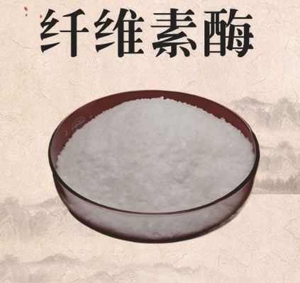 İyi bir fiyat. Cellulase Enzimi % 99 Saflık Beyaz Toz CAS 9012-54-8 çevrimiçi