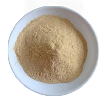 İyi bir fiyat. CAS 8013-01-2 Aromayı Artıran Saccharomyces Cerevisiae Maya Ekstraktı çevrimiçi