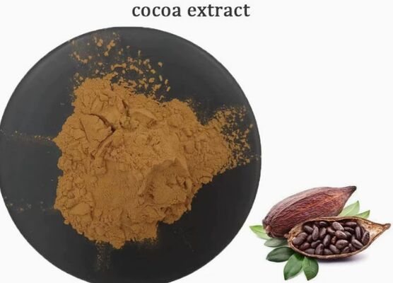 İyi bir fiyat. CAS 84649-99-0 Yiyecek ve İçecek Kakao Ekstraktı İçin Theobroma Kakao Ekstraktı çevrimiçi